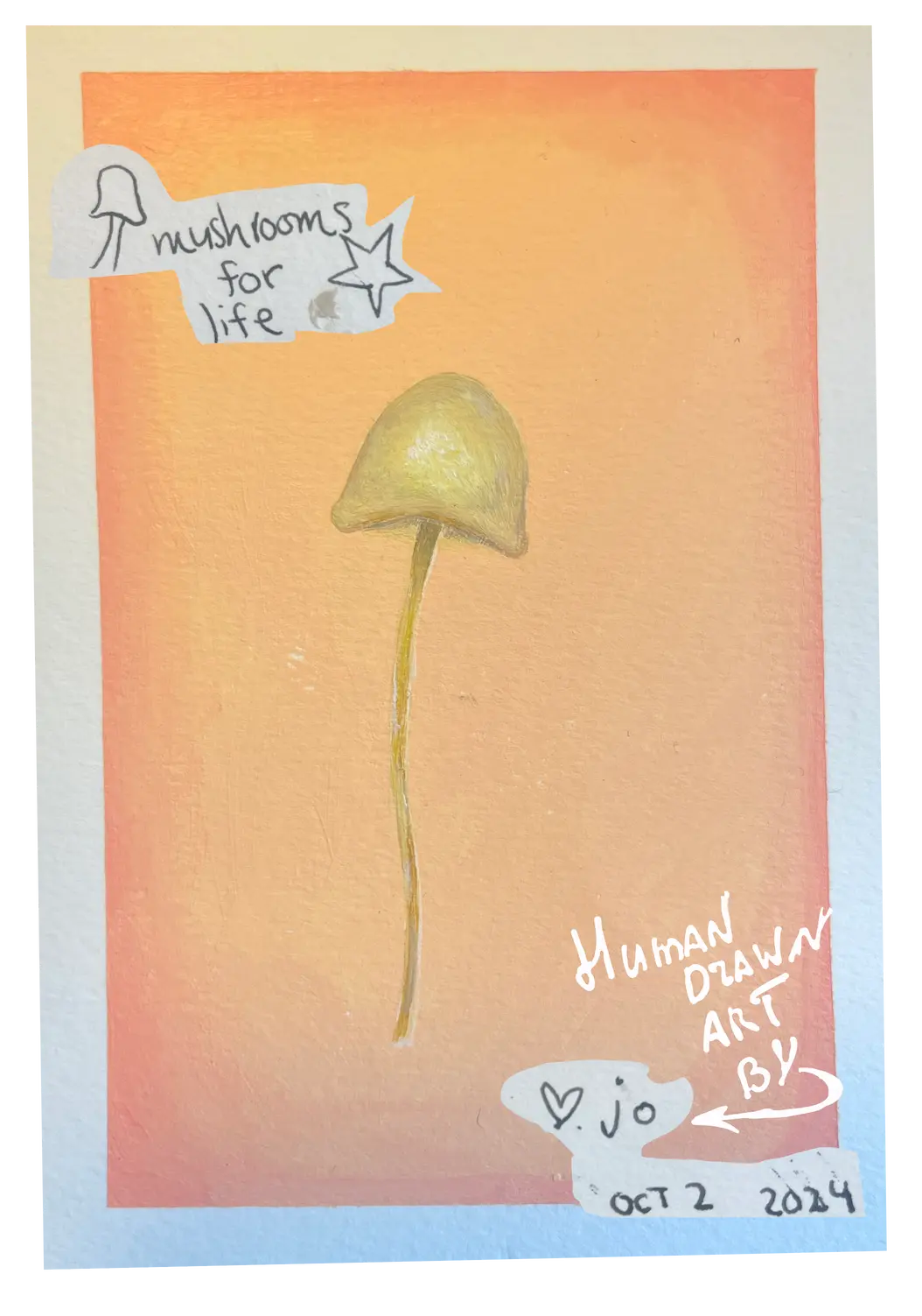 Mushrooms for life birthday card, hand-drawn by Jo and edited by Q888